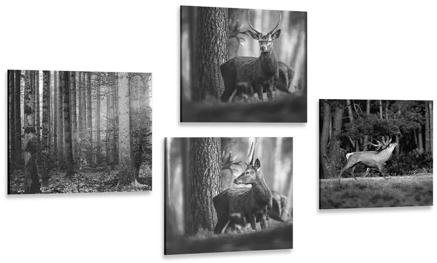 Set di quadri – Animali del bosco in bianco e nero