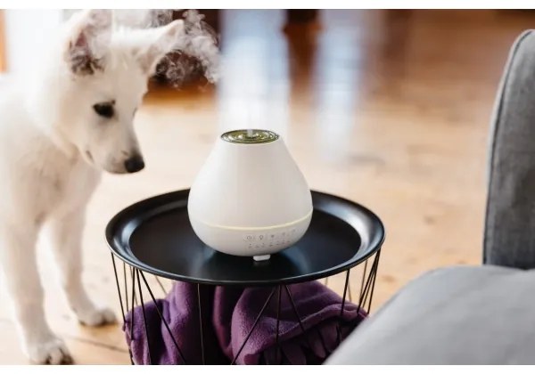 TESLA Smart - Diffusore di aromi LED Smart con retroilluminazione LED/10W/24V Wi-Fi