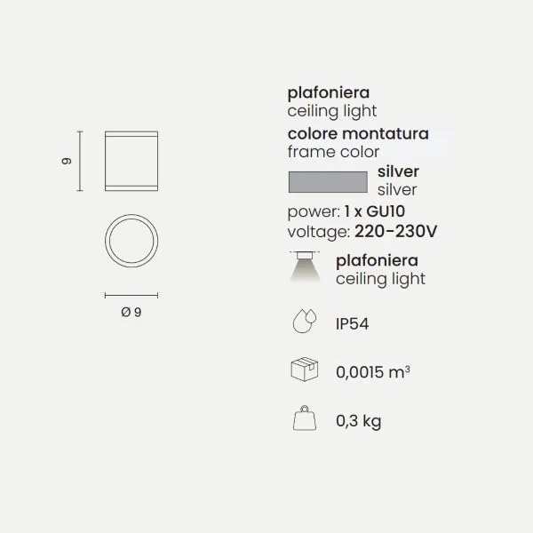 Plafoniera per esterni JUBO in alluminio Silver con diffusore in vetro D9 cm