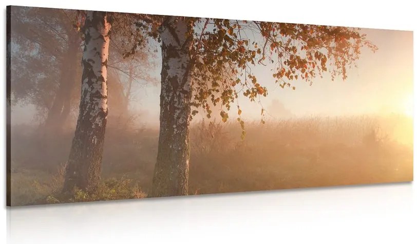 Quadro su tela – Foresta autunnale nebbiosa