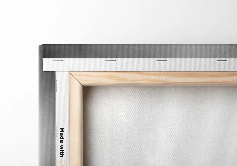 Quadro su tela – Natura morta Feng Shui in bianco e nero