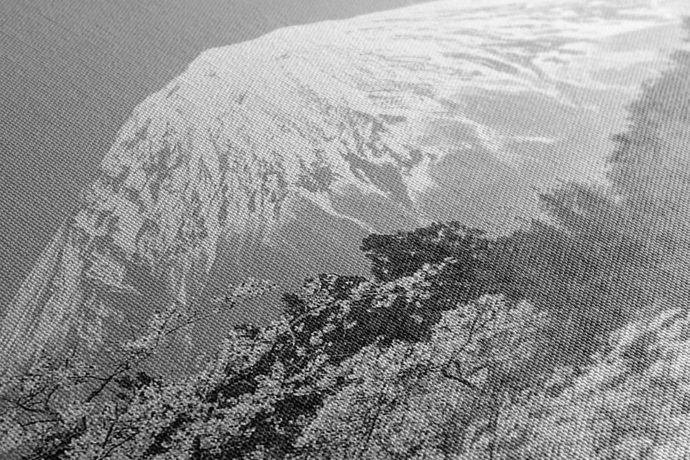 Stampa su tela – Monte Fuji in bianco e nero
