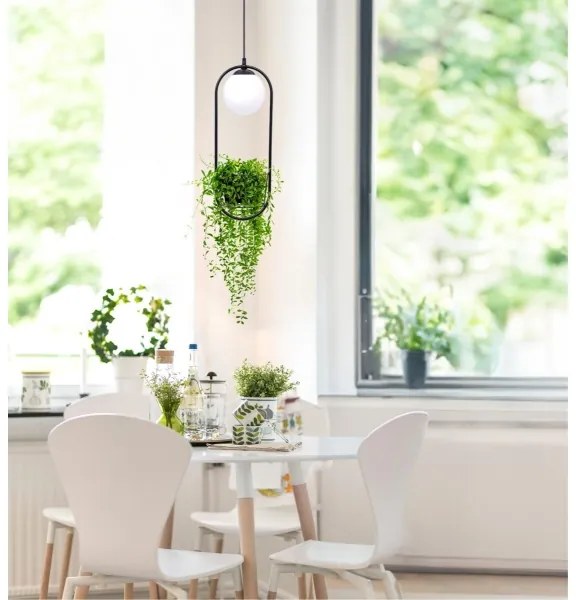 Zuma Line 5003 - Lampadario a sospensione con filo PLANT 1xE14/40W/230V nero