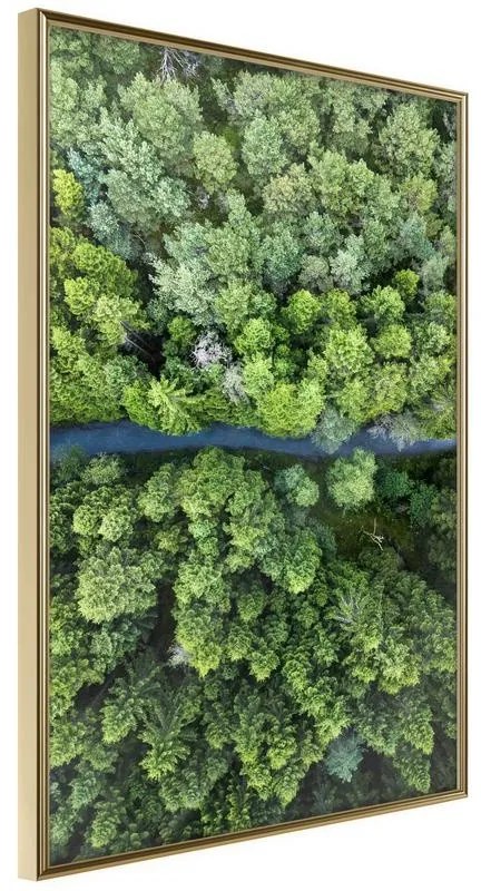 Poster  Forest from a Bird's Eye View  Cornice Quadri Cornice d'oro, Larghezza x Altezza Home decor 30x45