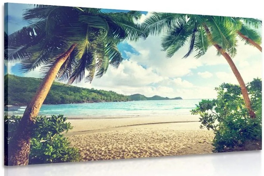 Quadro su tela – Tramonto sull'isola delle Seychelles