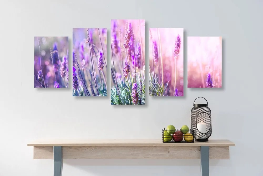 Quadri 5 pezzi – Fiori magici di lavanda