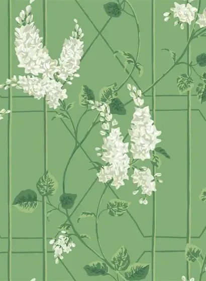 Cole & Son Carta da parati Wisteria - Sage/ Leaf Green