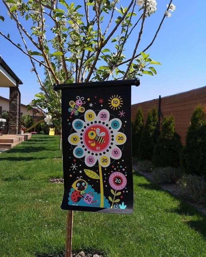 Gioco delle Freccette - Giardino
