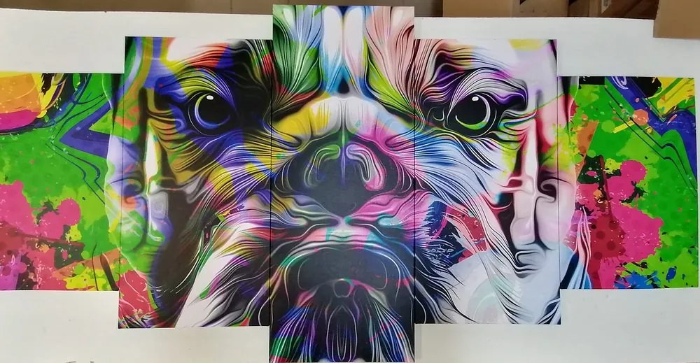 Quadri 5 pezzi – Pop-art bulldog