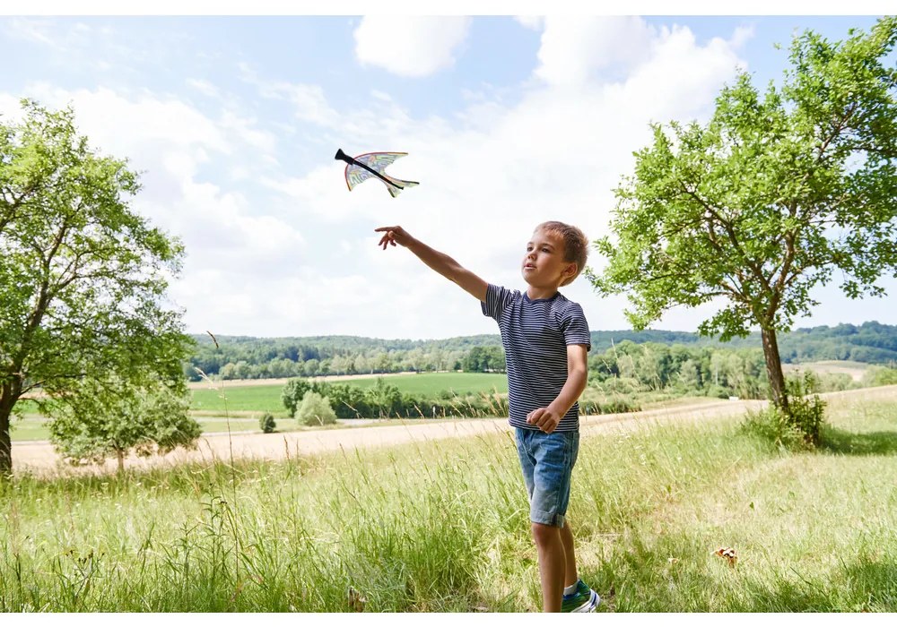 Terra Kids - Aliante a catapulta