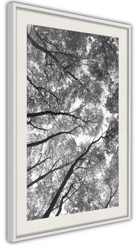 Poster  Lying on the Grass  Cornice Quadri Cornice nera, Larghezza x Altezza Home decor 30x45