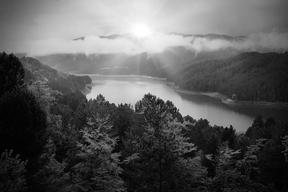Carta da parati autoadesiva – Fiume nel mezzo della foresta in bianco e nero
