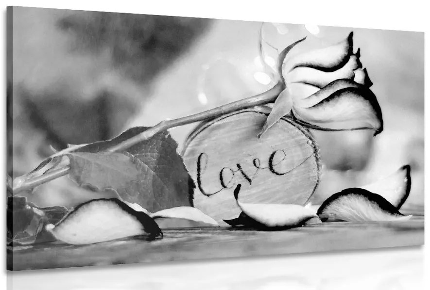 Quadro su tela – Dichiarazione romantica in bianco e nero Love