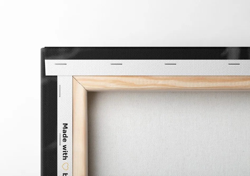 Quadro su tela – Cervo maestoso in bianco e nero