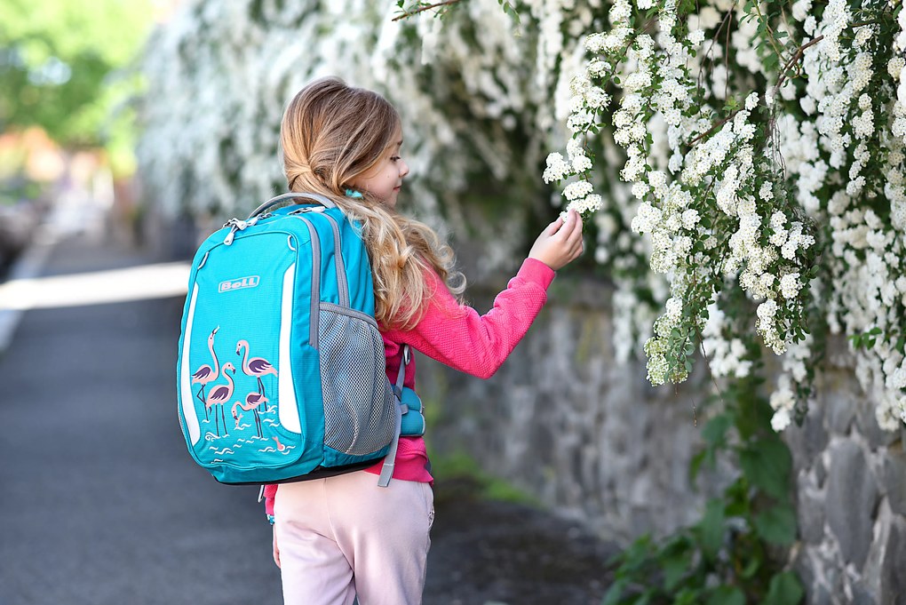 Zaino scuola BOLL SCHOOL MATE 20 l Flamingos - turquoise
