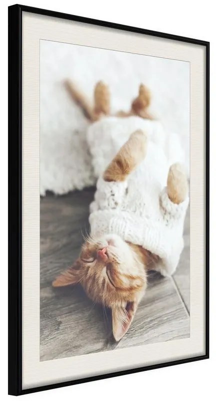 Poster  Kitten Life  Cornice Quadri Cornice nera con pass-partout, Larghezza x Altezza Home decor 30x45