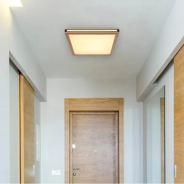 Globo 41589D2 - Plafoniera LED CARLA LED/24W/230V 45x45 cm