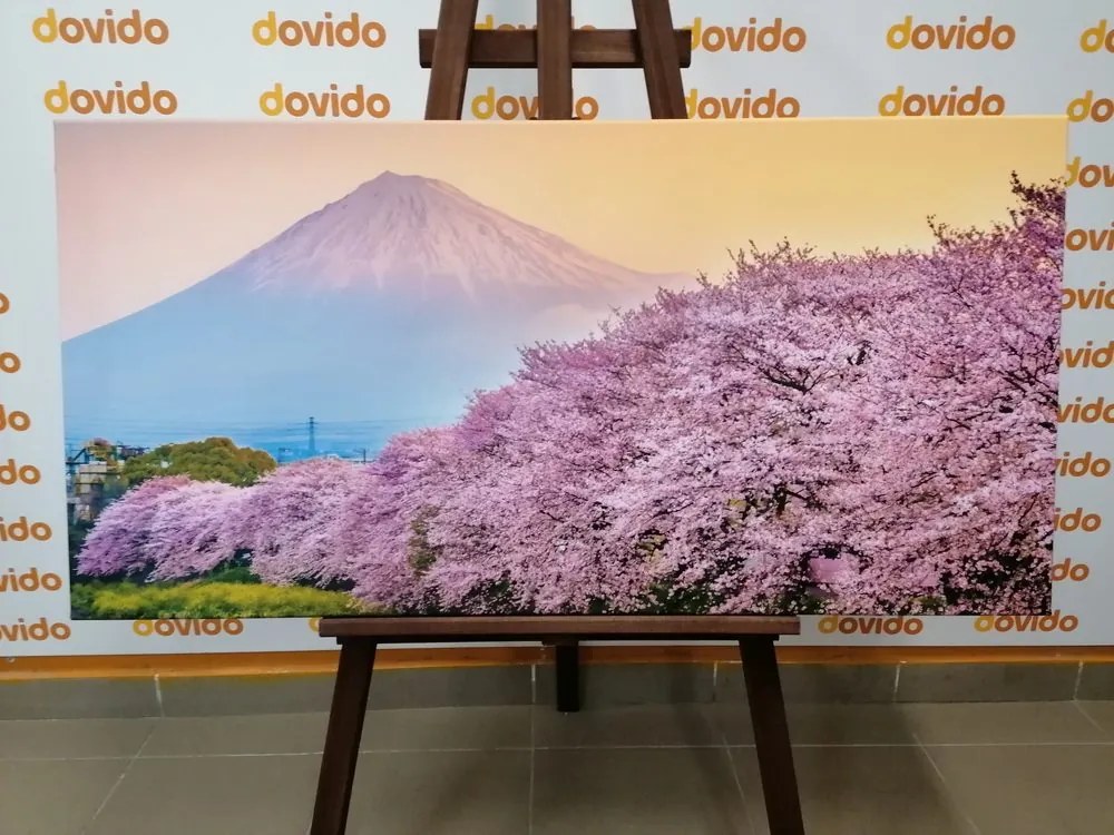 Quadro su tela – Meraviglioso Giappone