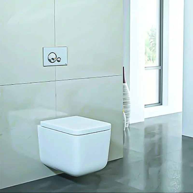 Placca di comando Oli Globe cromo satinato 23 cm in ABS con doppio scarico