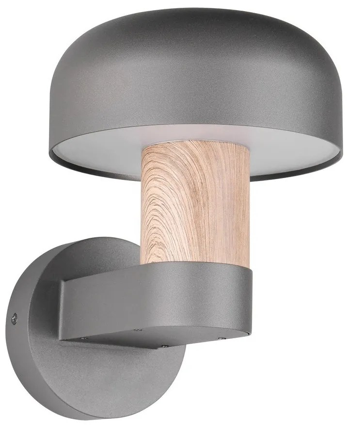 Illuminazione esterna da parete (altezza totale 24,5 cm) Fraser – Trio