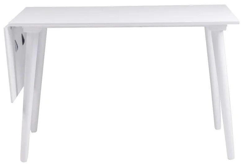 Tavolo da pranzo bianco Lotte Leaf, 120 x 80 cm Lotta - Rowico