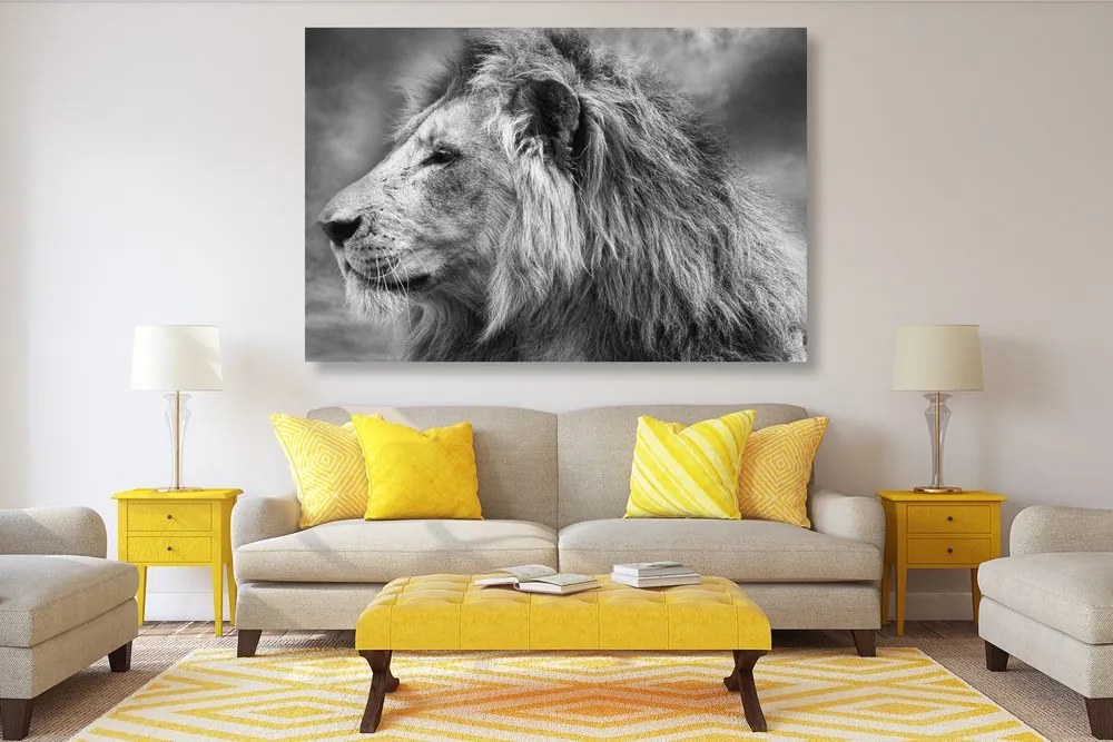 Quadro su tela – Leone africano in bianco e nero