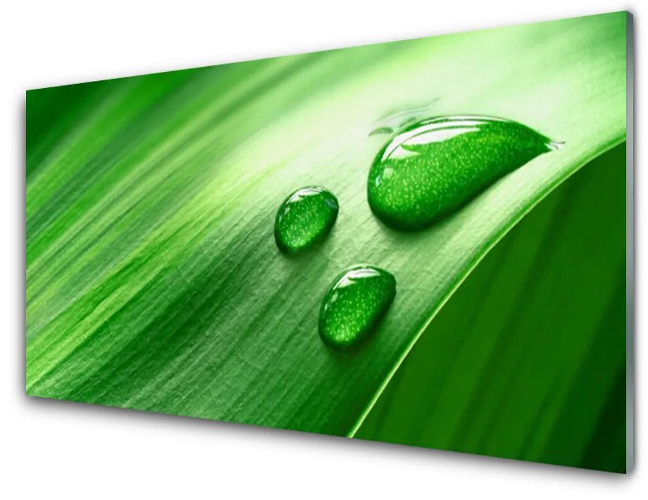 Quadro su vetro Gocce d'acqua di foglie 100x50 cm 2 appendini