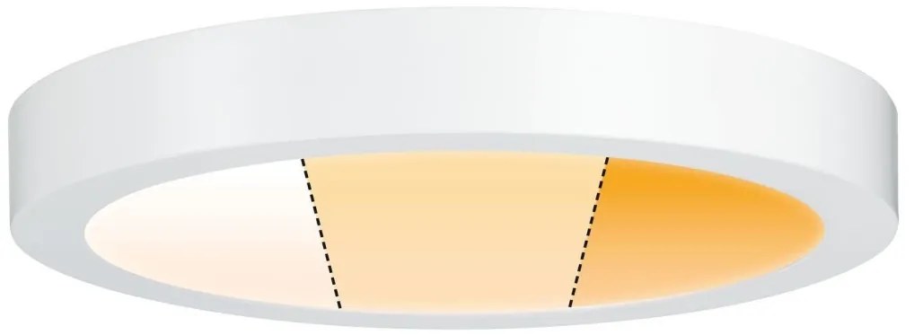 Paulmann 79799 - LED/19W Plafoniera CARPO 230V 2300/2500/3000K