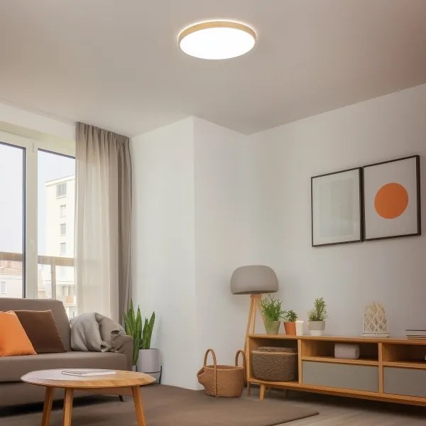 Brilagi - Plafoniera LED dimmerabile PINE LED/60W/230V + telecomando