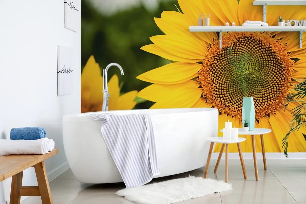 Carta da parati autoadesiva – Girasole giallo