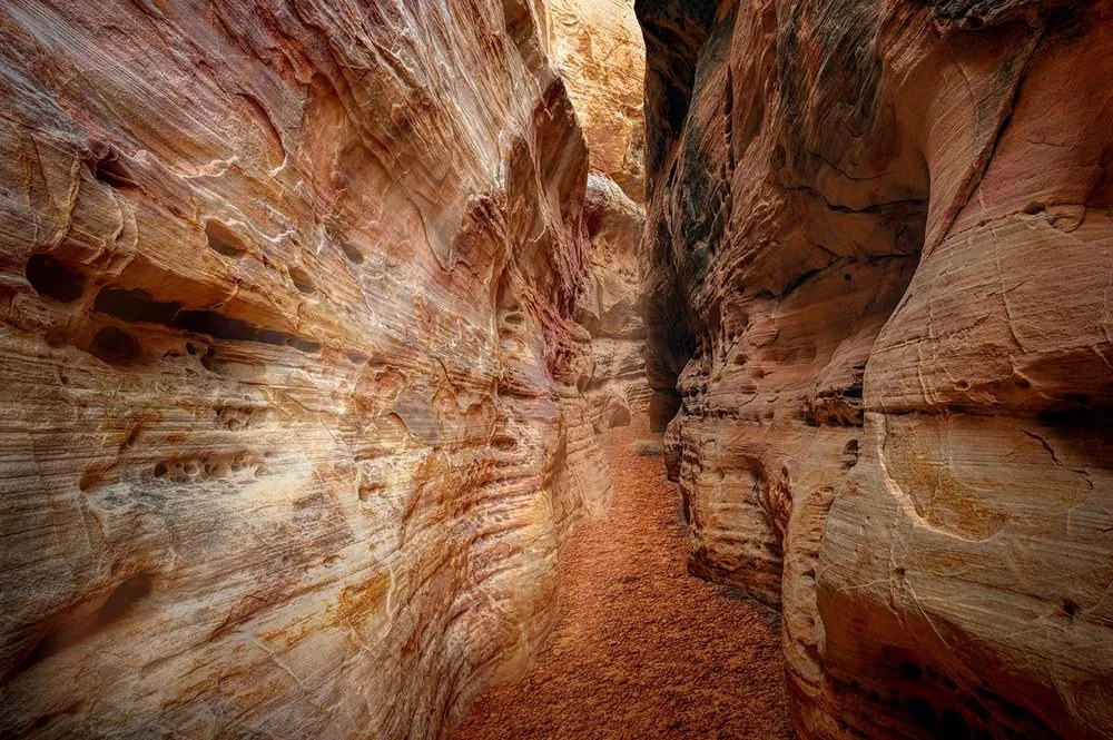 Carta da parati – Sentiero nel Grand Canyon