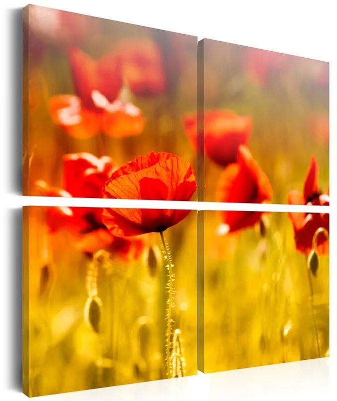 Quadro Stagione estiva  Colore Rosso, Dimensioni e Misure 60x60