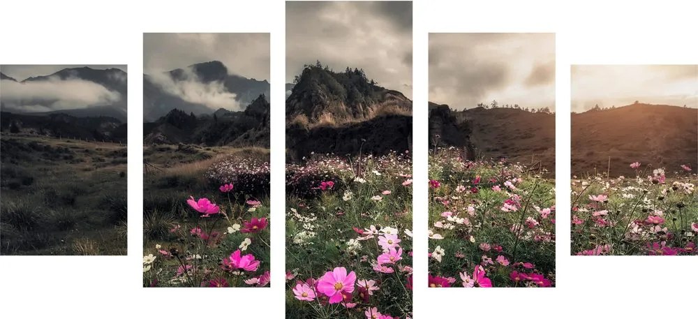 Quadri 5 pezzi – Prato di fiori in fiore