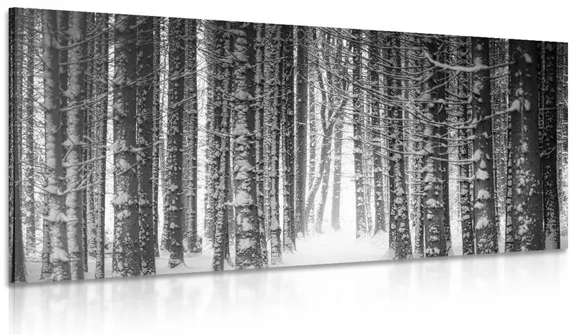 Stampa su tela – Foresta coperta di neve in bianco e nero