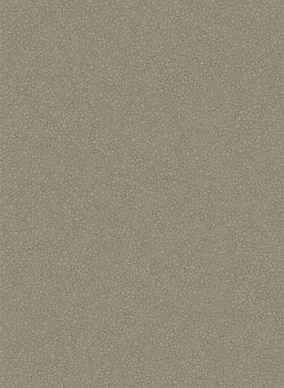Tapete Pebble von Cole and Son - Dark Linen