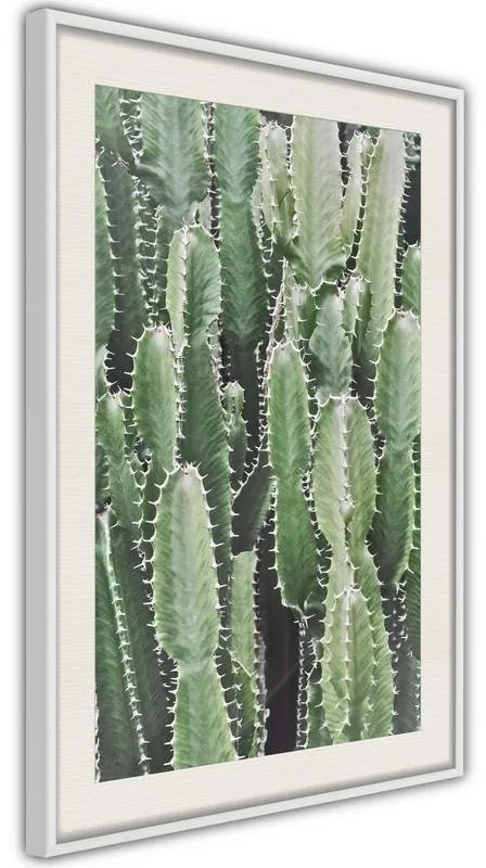 Poster  Cactus Plantation  Cornice Quadri Cornice d'oro con passe-partout, Larghezza x Altezza Home decor 30x45