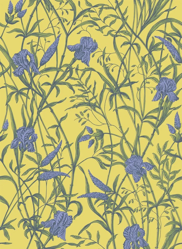 Cole & Son Carta da parati Iris - Violet on Citrine