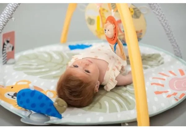 Taf Toys - Tappeto per bambini con trapezio savana 2xAAA