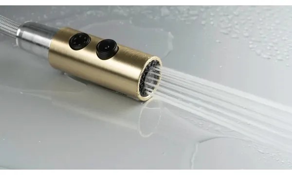 Deante BQO_R72M - Rubinetto lavello con doccetta estraibile OLFATO pettinato oro