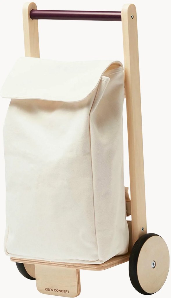 Carrello della spesa giocattolo