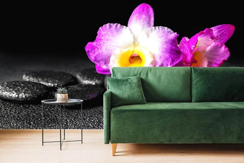 Carta da parati – Orchidea su pietre Zen