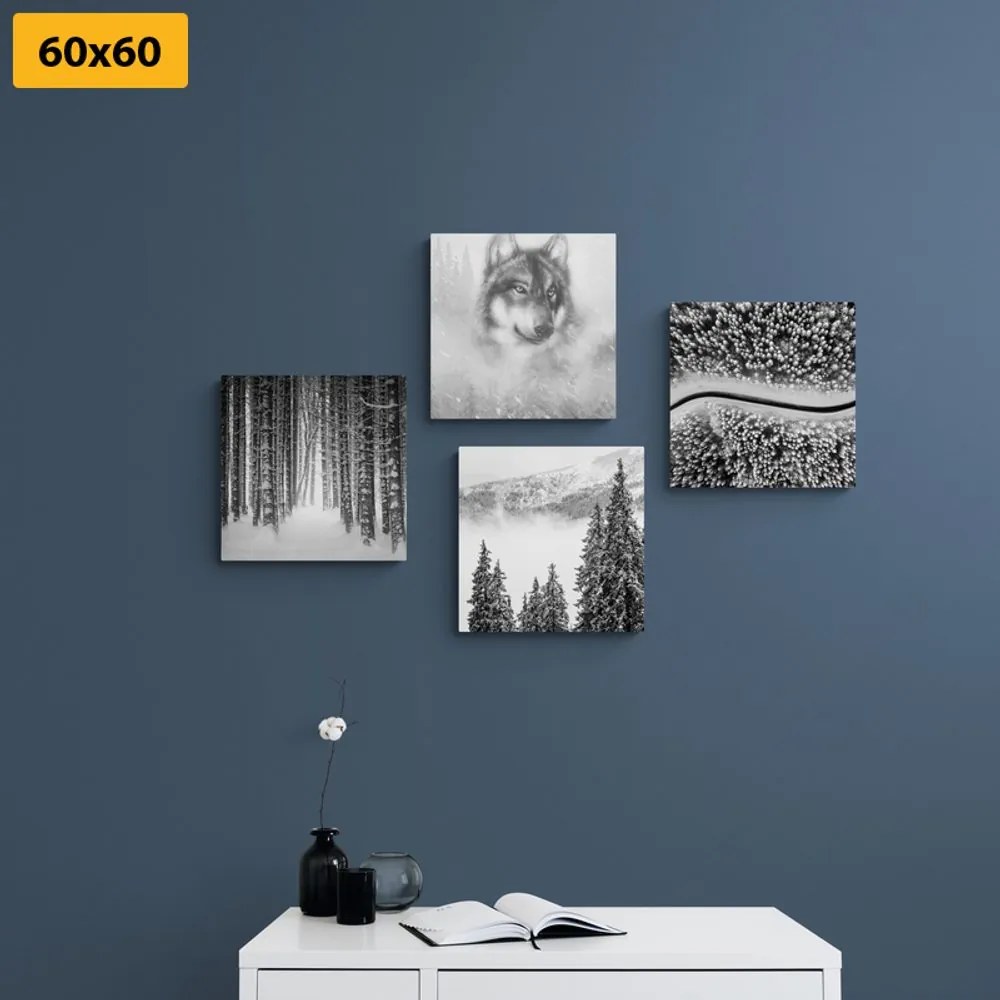 Set di quadri – Lupo nel bosco misterioso in bianco e nero