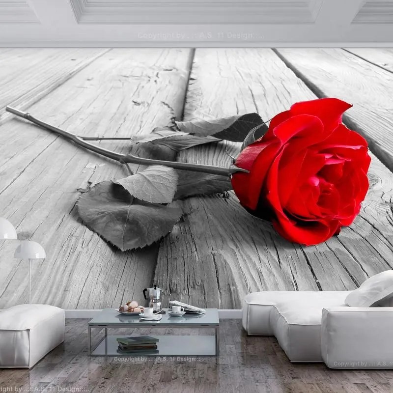 Fotomurale adesivo  Abandoned Rose  Larghezza x Altezza Home decor 294x210