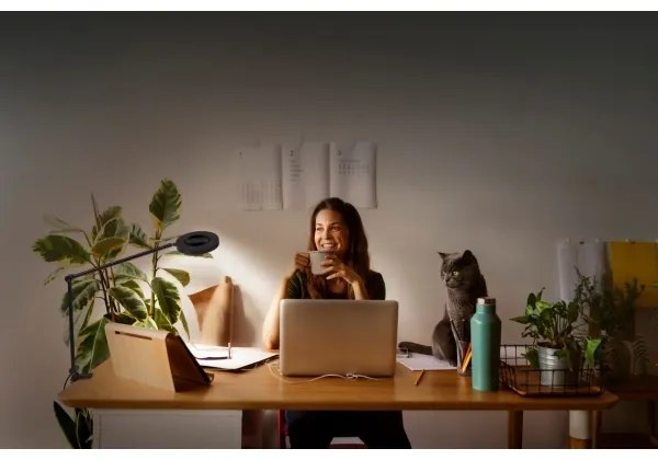 Ledvance - Lampada LED dimmerabile con clip SUN@HOME LED/15W/230V CRI 95 Wi-Fi