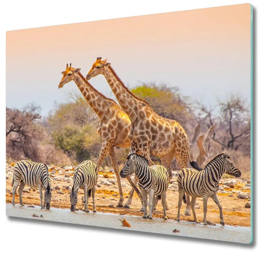 Tagliere in vetro Giraffe e zebra 60x52 cm