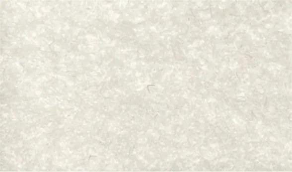 Tappeto moquette guida passatoia per interno esterno Bianca H 1 x 30 mt