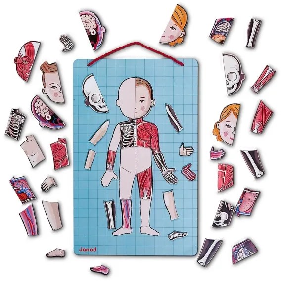 Janod - Puzzle magnetico BODYMAGNET corpo umano