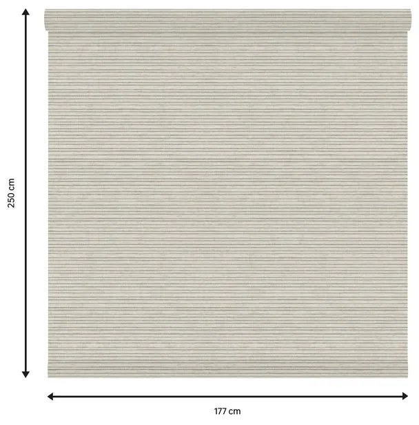 Tessuto per tende a rullo filtrante INSPIRE Darwin beige 177 x 250 cm