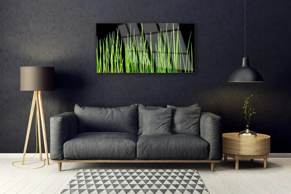 Quadro in vetro Pianta d'erba 100x50 cm