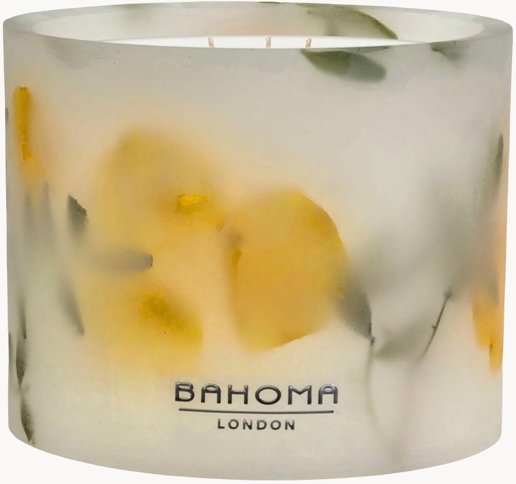 Candela profumata con tre stoppini fatta a mano Botanica (legnosa)